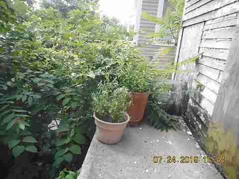 6045 Larkins (9)_m.jpg